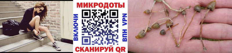 Псилоцибиновые грибы Psilocybine cubensis  Купить где  Высоковск 